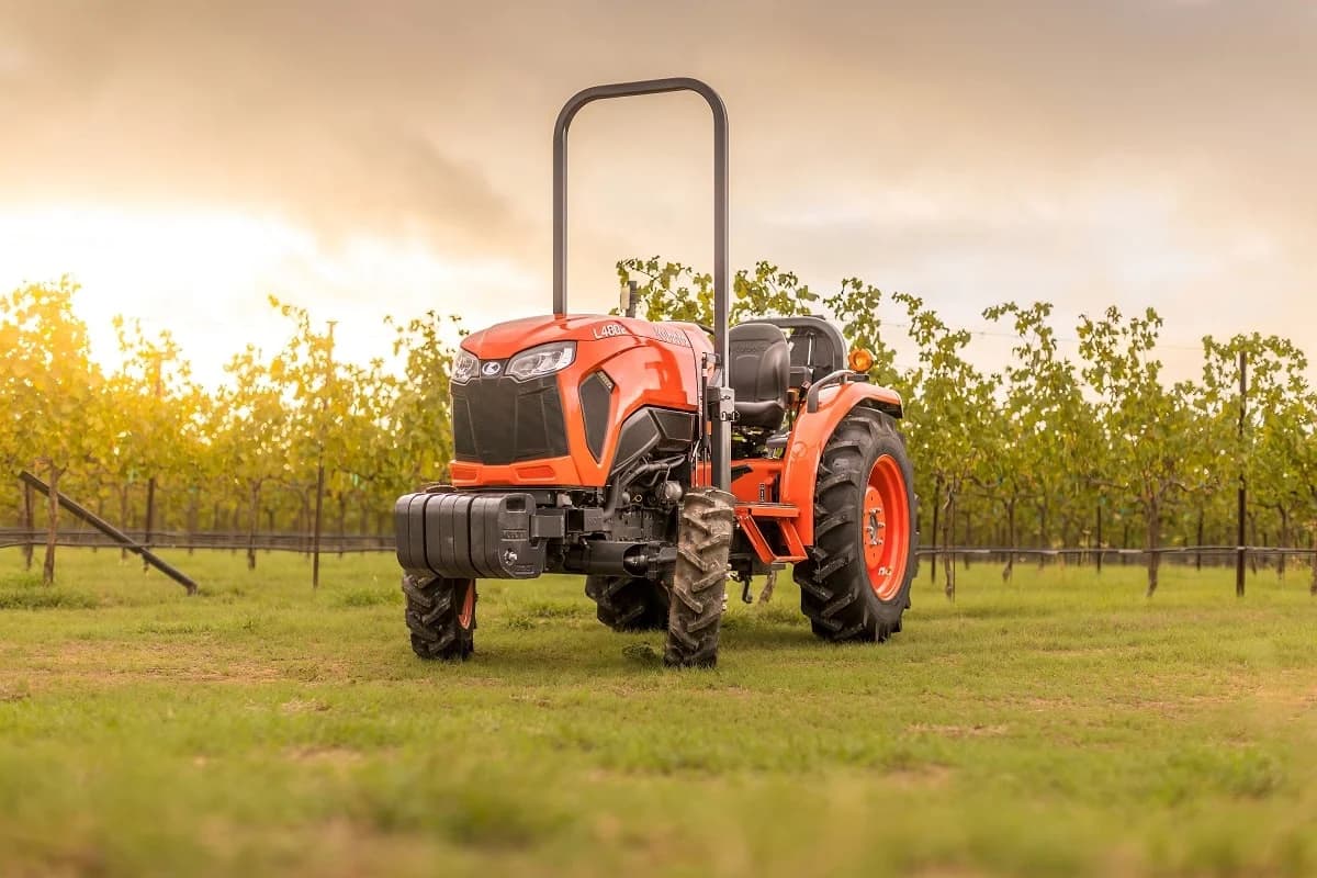 Vineyard and berry equipment for sale