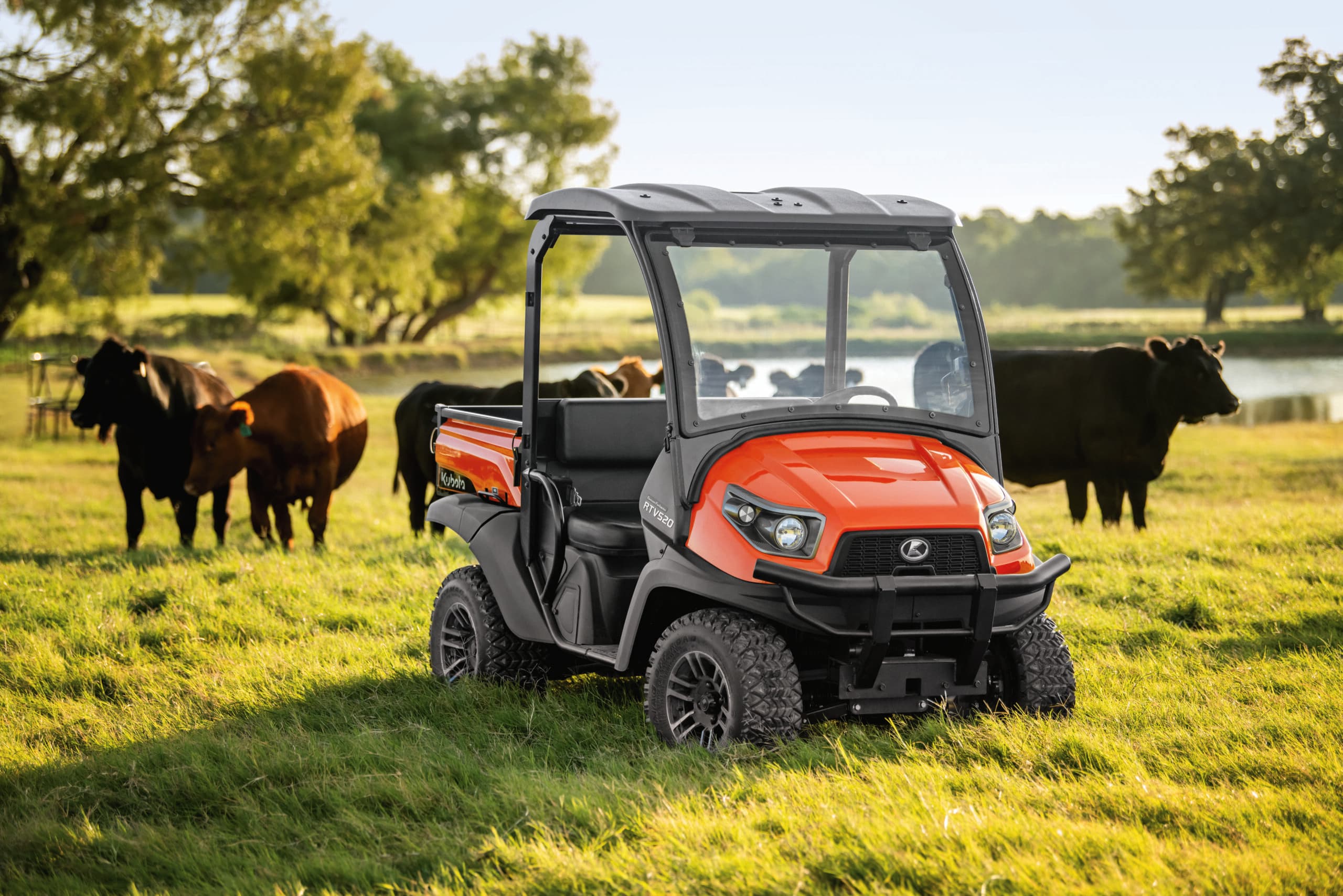 RTV in a field with cows